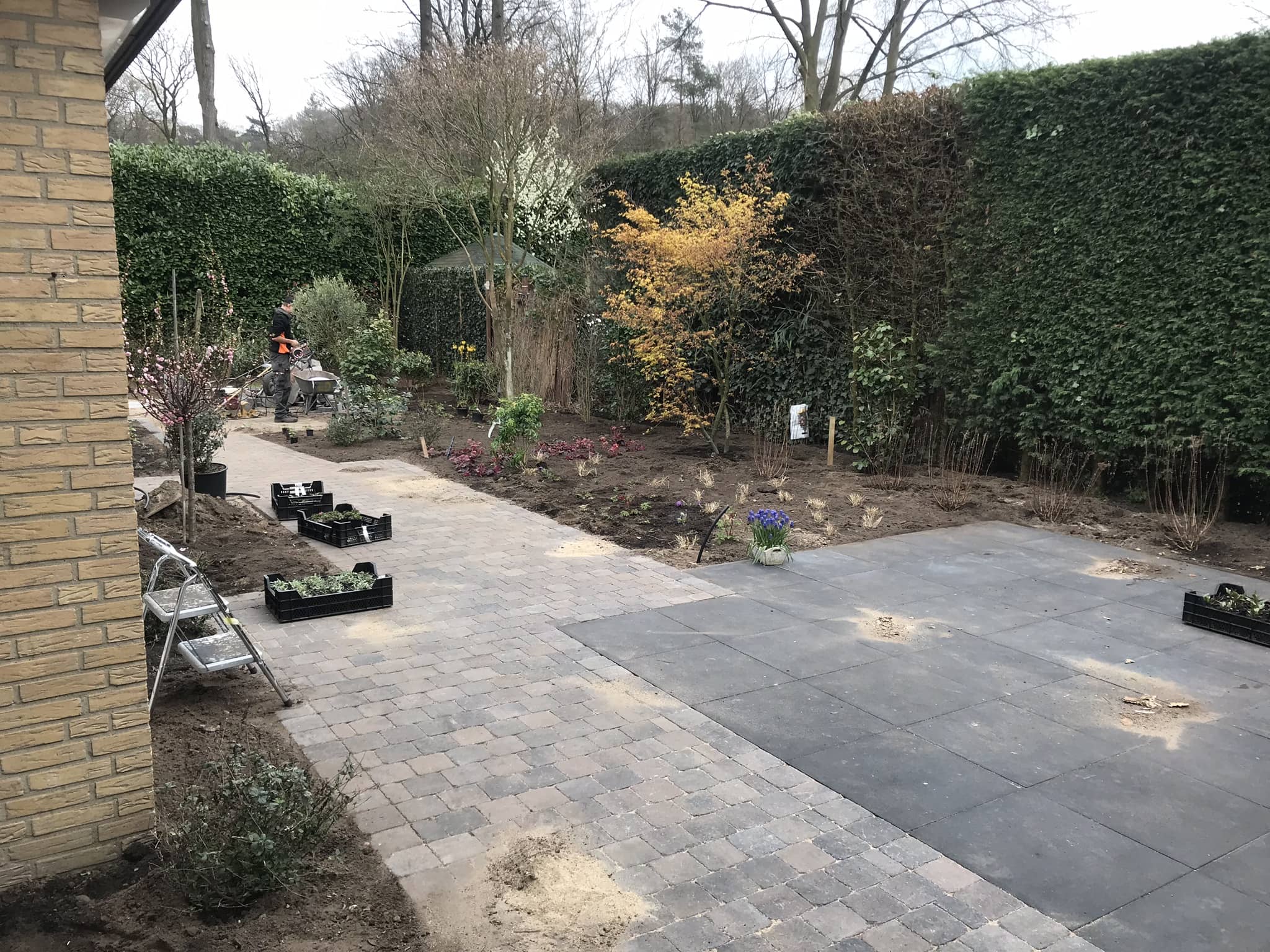 Compleet nieuwe tuin aangelegd door All-In Hoveniers
